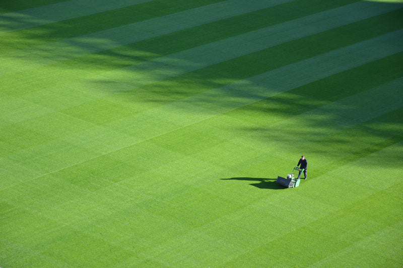 Revamp Your Lawn: Choosing the Right Mower for the Job