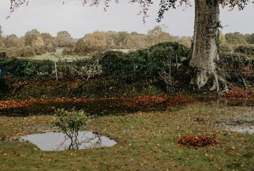 Autumn Gardening Tips: Preparing Your Garden for the Colder Months