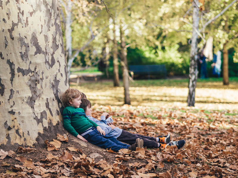 Child and Pet Safe Gardening: How to Maintain Your Garden Safely