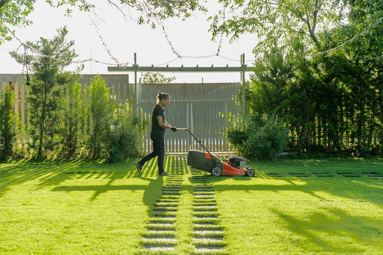 Getting Your Lawn Ready for Spring
