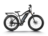 HIMIWAY D3 (CRUISER) all-terrain electric bike