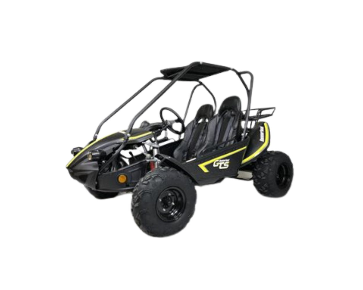 Petrol off road buggy shop