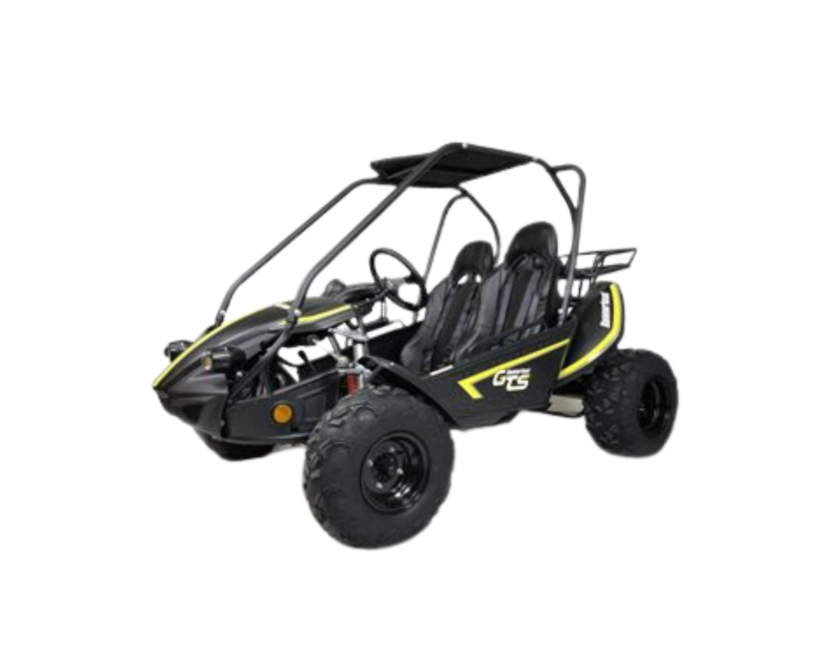 HammerHead GTS 150 Full Size Petrol Off Road Buggy