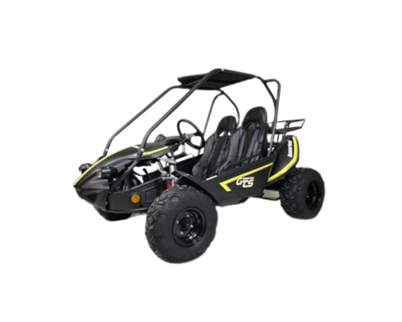 HammerHead GTS 150 Full Size Petrol Off Road Buggy