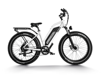 HIMIWAY D3 (CRUISER) all-terrain electric bike