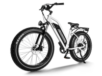 HIMIWAY D3 (CRUISER) all-terrain electric bike