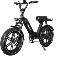 HIMIWAY ESCAPE PRO moped e-bike